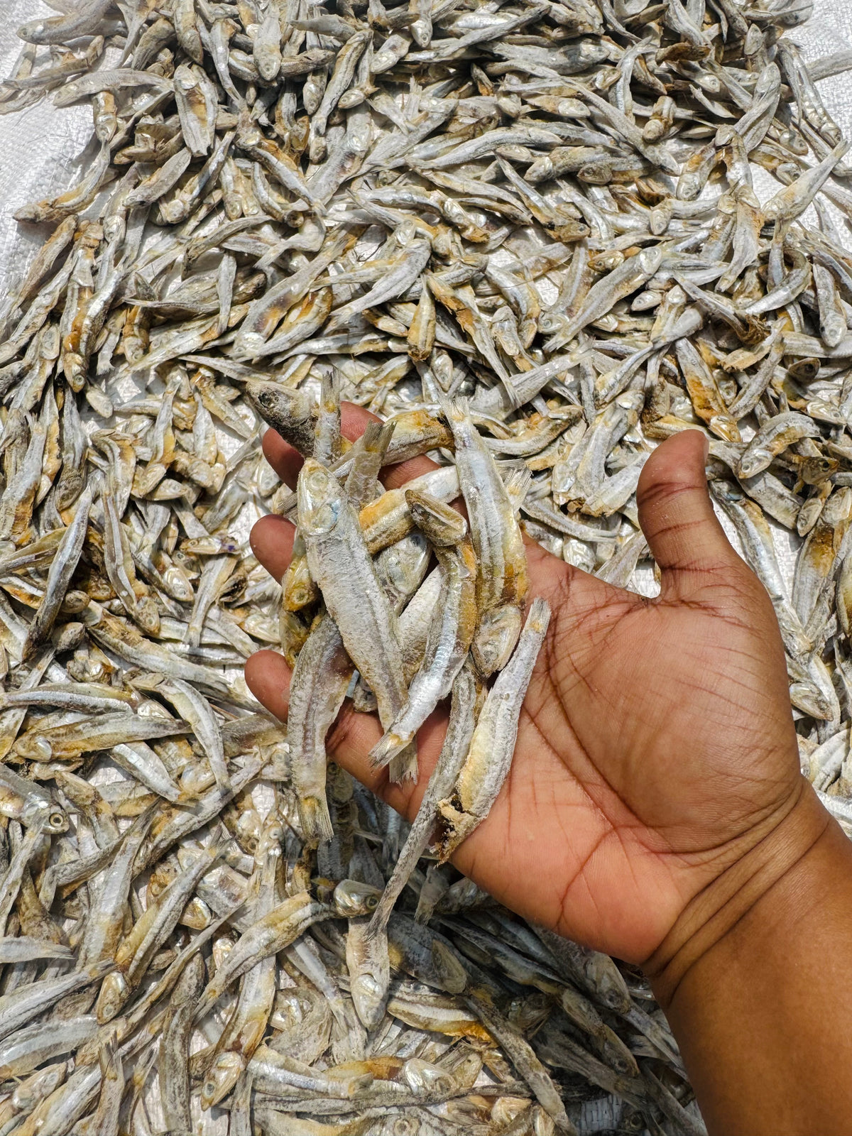 Dry Kollatharu