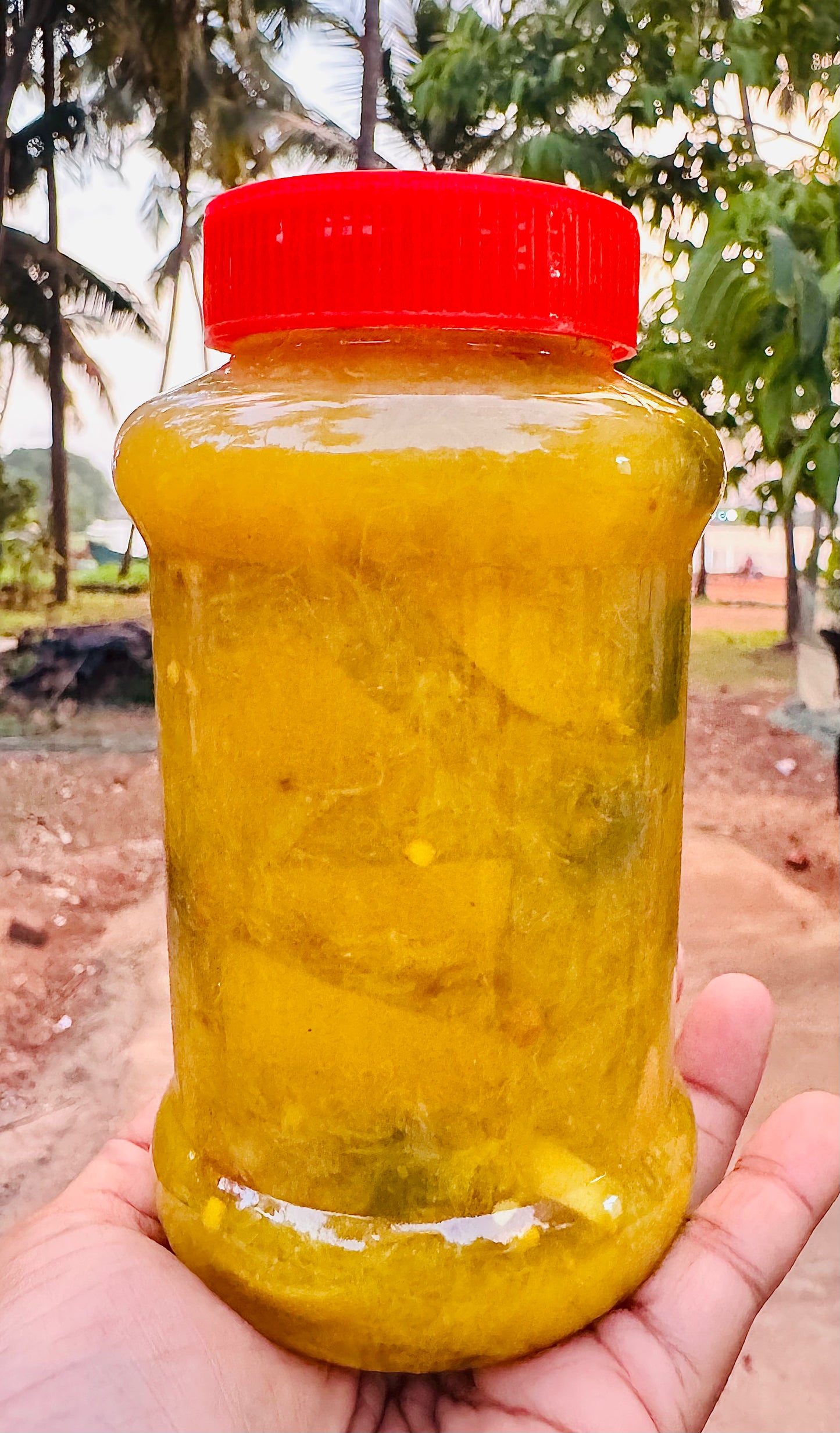 Lemon green chilly &ginger Pickle 500g